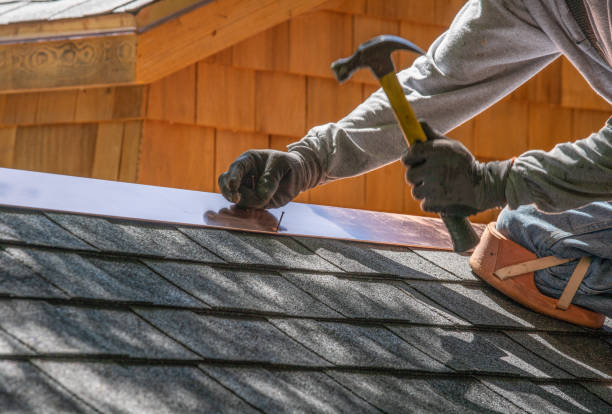 Chebanse, IL  Roofing repair and installation Company
