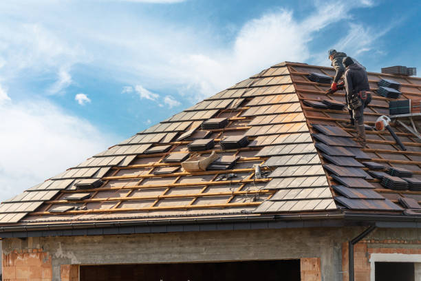 Best Skylight Installation and Repair  in Chebanse, IL