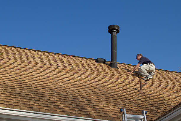 Best Roof Ventilation Installation  in Chebanse, IL
